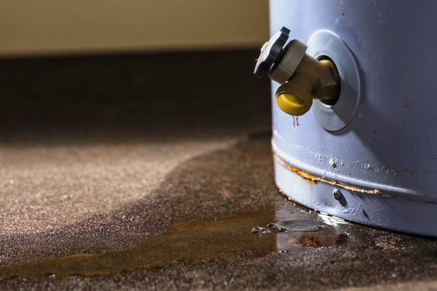 Best Water damage restoration mold remediation  in Sunbury, PA