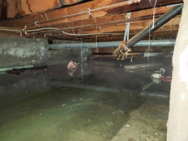 Professional Water damage restoration in Sunbury, PA
