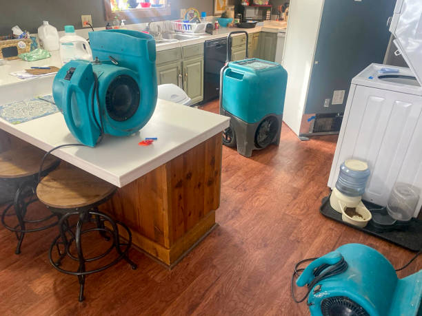 Best Water damage restoration process  in Sunbury, PA