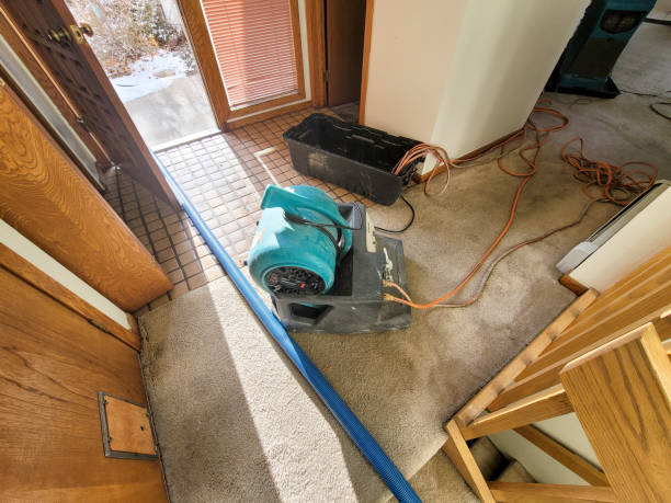 Best Water damage restoration experts  in Sunbury, PA