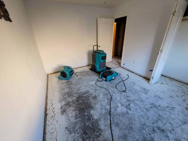 Best Flood damage cleanup  in Sunbury, PA