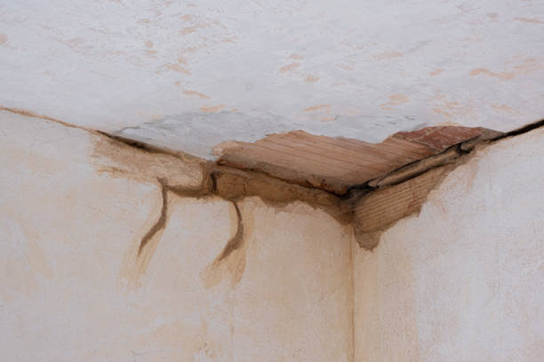 Water damage restoration mold remediation in Sunbury, PA