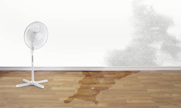 Best Basement water damage restoration  in Sunbury, PA