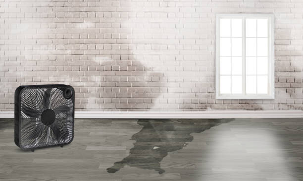 Best Water damage cleanup near me  in Sunbury, PA