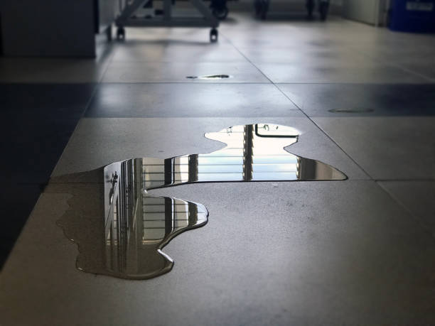 Best 24/7 water damage repair  in Sunbury, PA