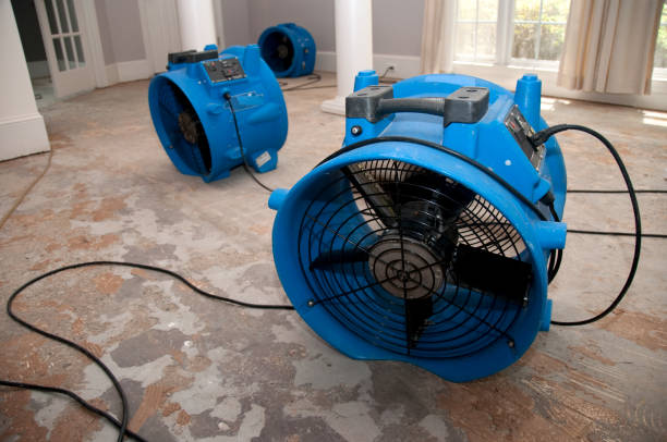 Best Emergency water extraction  in Sunbury, PA