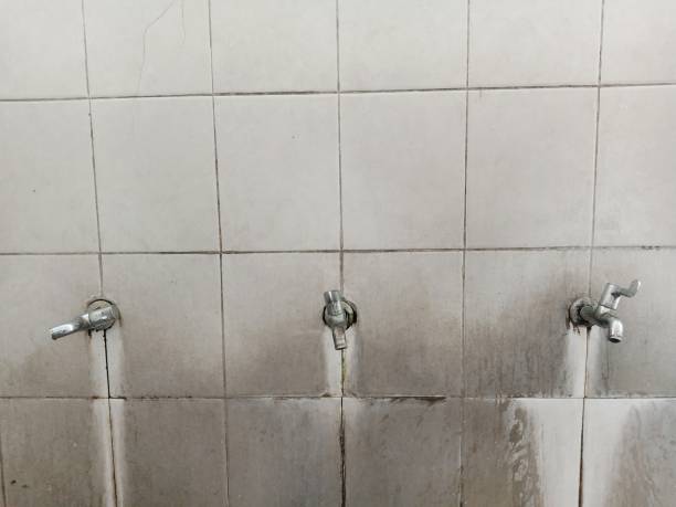 Best 24-hour water damage restoration  in Sunbury, PA